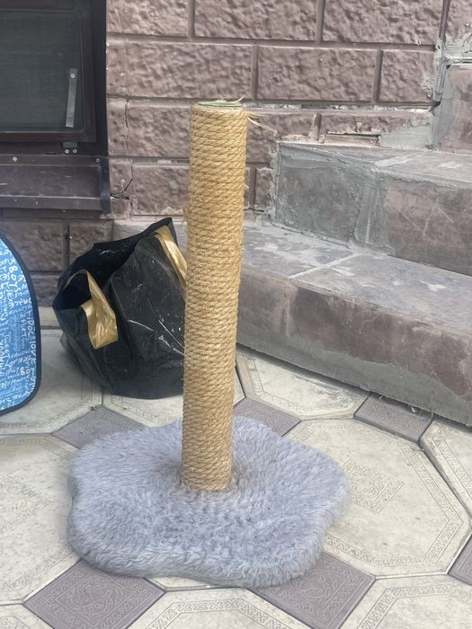 Шлейка ошейник, когтеточка