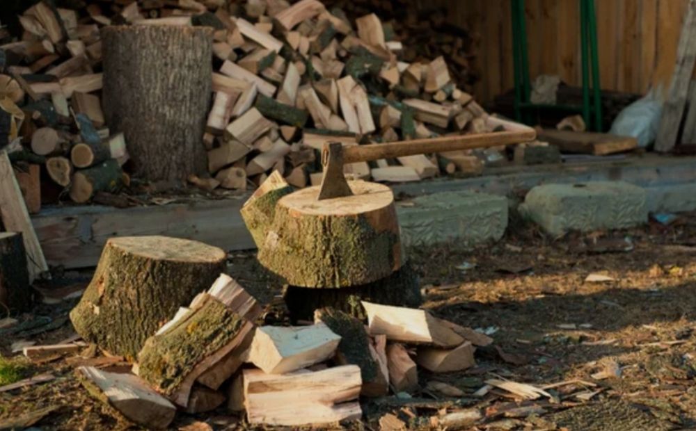 Продам дрова сухие.