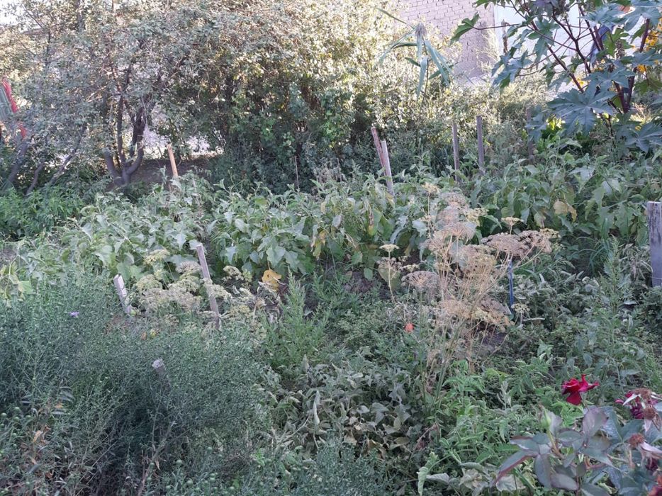 Продам дачу, участок 9 соток