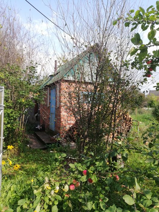 Дача, общество Веснянка