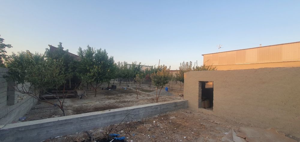 Hovli sotiladi 8 sotiq