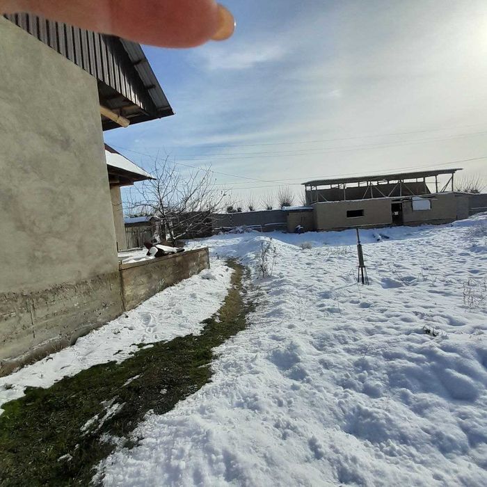 Янги Ташкент худудига Якин, чорвок й-да уй ориентир Арай бешбармок)