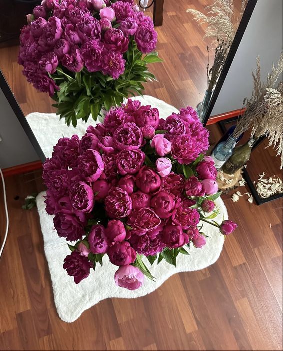 Нежные ароматные пионы