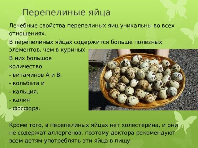 Продам свежее перепелиное яйцо