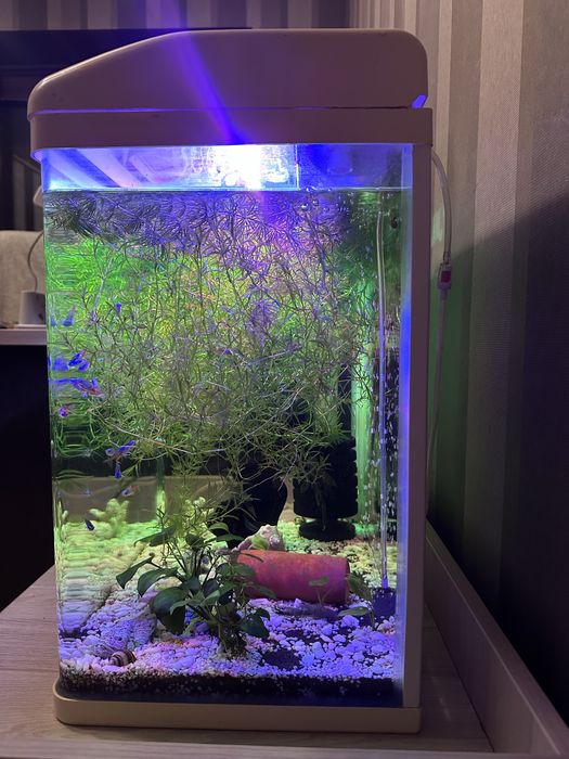 Продам аквариум.