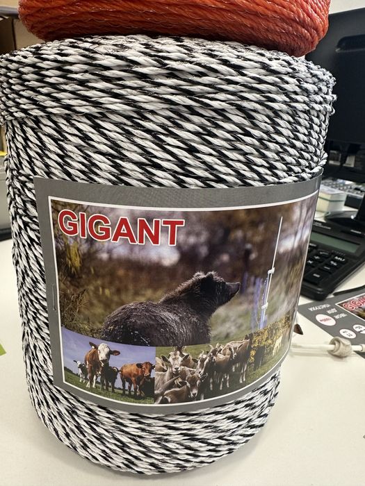 Электра шопан , элетропастух