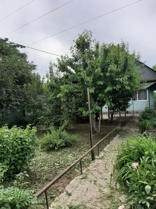 Продам дачю в селе байтерек