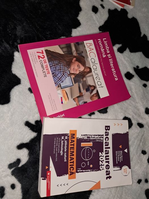 Lot carti pentru bacalaureat romana + matematica m2