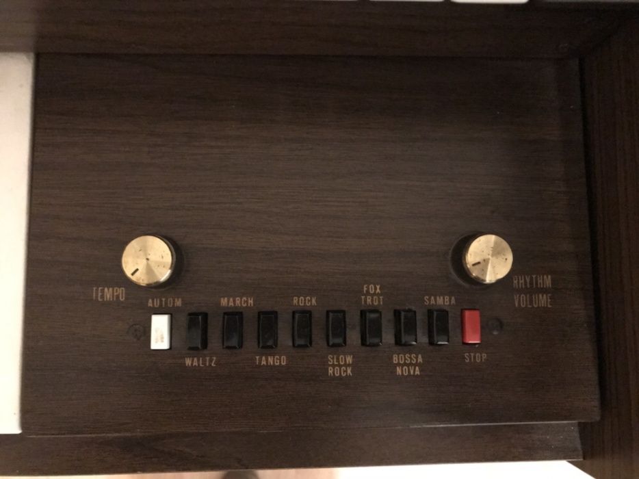 Orga electrica Borsini Serenade2