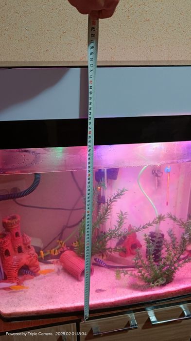 Akvarium quyma akril 250 Tali Ulgurib qoling+baliqlari bilan