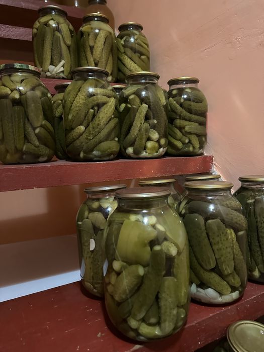 Соленые огуруы