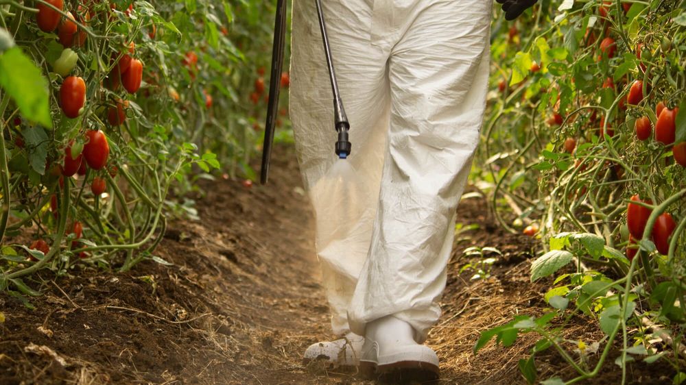 Профессиональный аккумуляторный опрыскиватель Matabi Evolution 20 LT