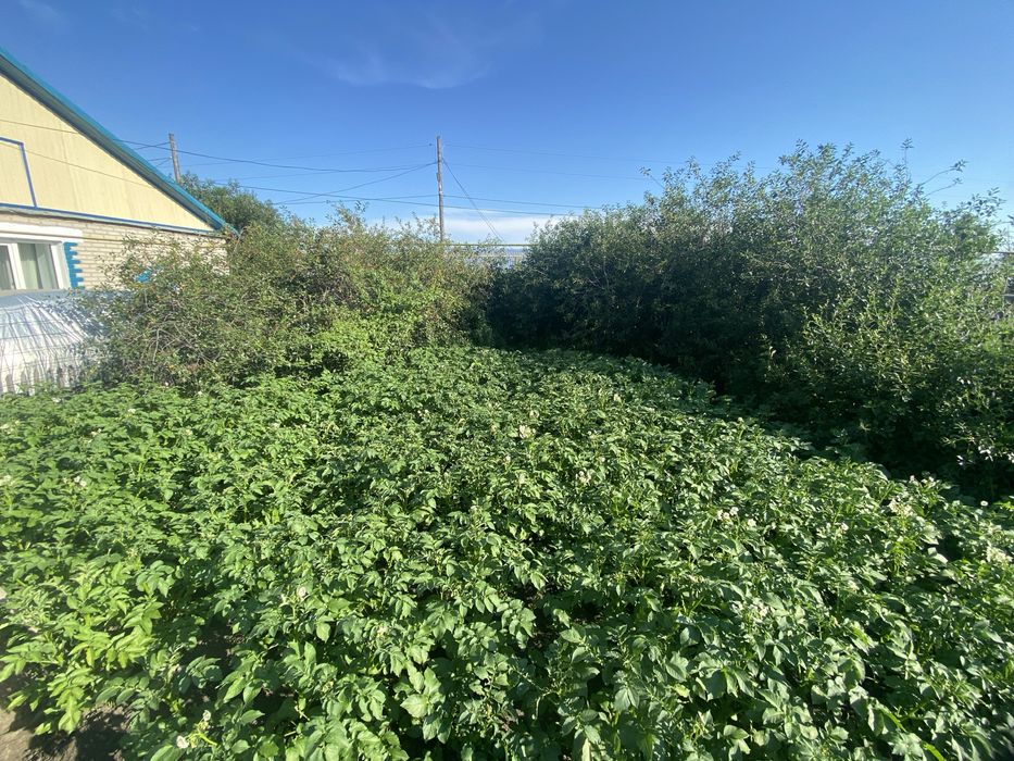 Продам дом в пригороде Жамбыл