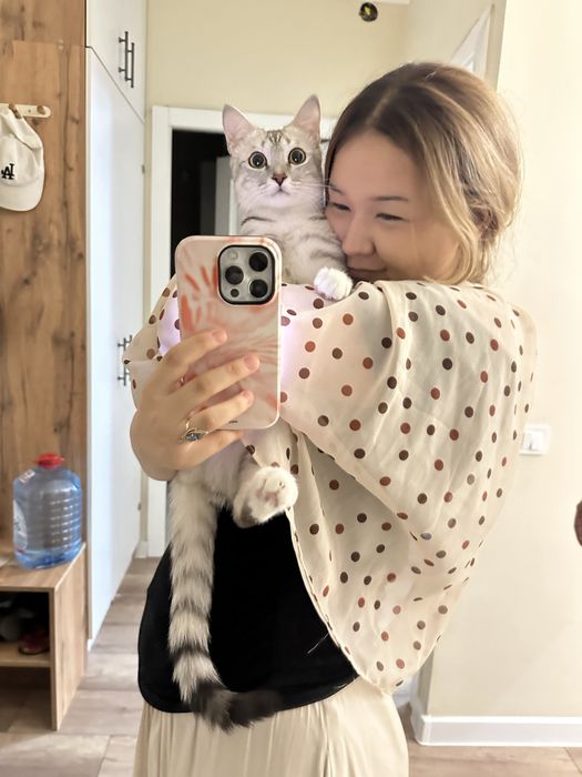 Отдаем котов в хорошие руки
