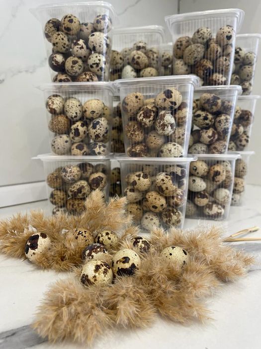 Продам яйца перепелиные домашние