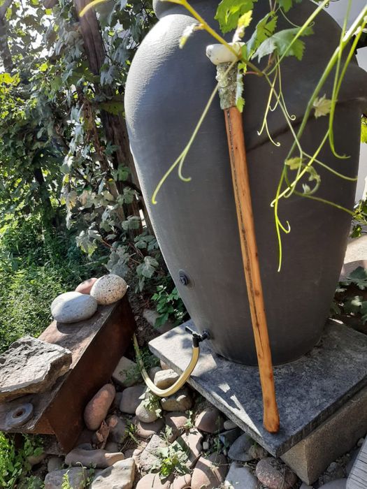 Посох, казачья трость