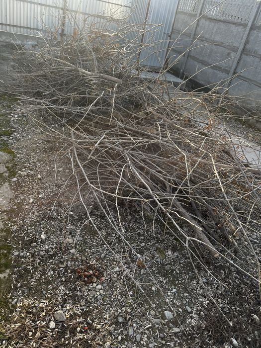 дрова для бани, шашлыка