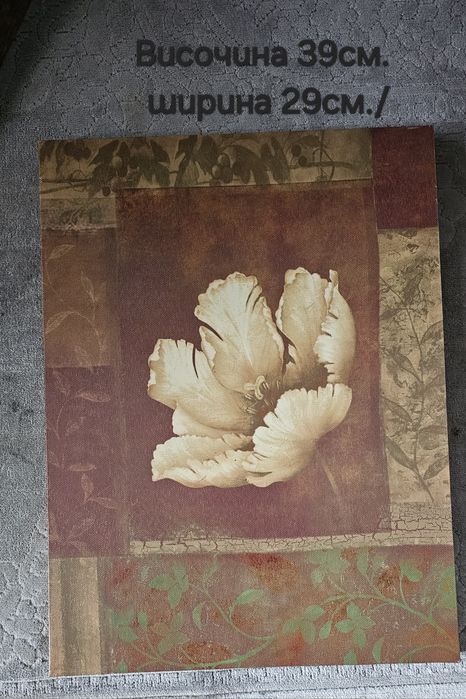 Два бр. картини, принт върху шперплат, рамки с снимки