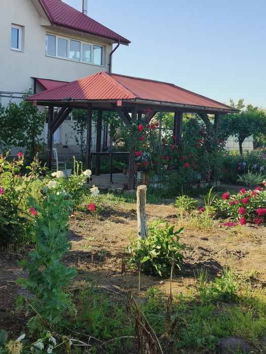Casa cu livada Valcele Călărași