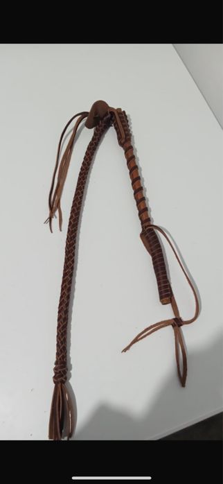 Қамшы шыбырқылар