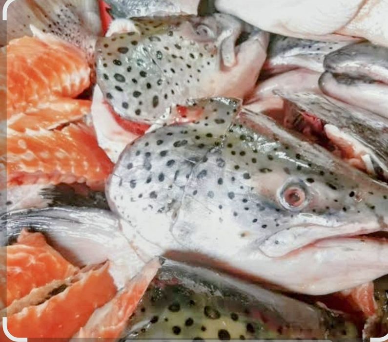 Суп наборы рыбки сёмги всегда свежие