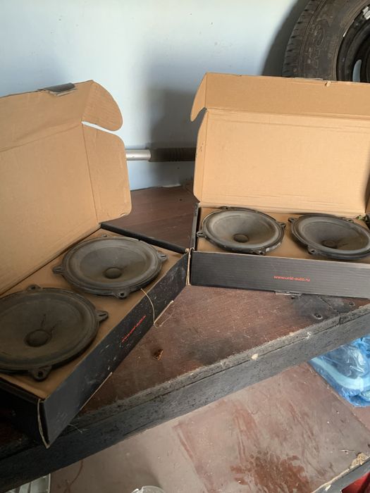 largusni kalonkalari ural