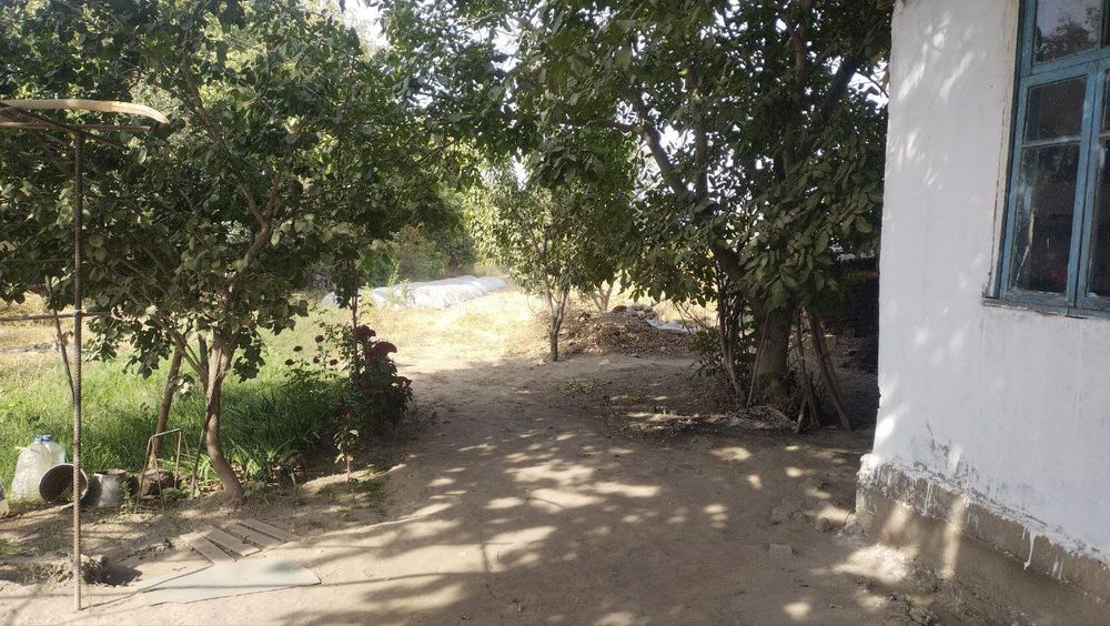 Uy sotiladi 35 sotik