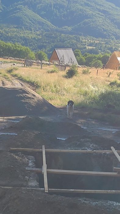 Vand teren intravilan - Nucsoara
