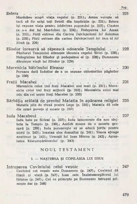 Mica Biblie (1977)