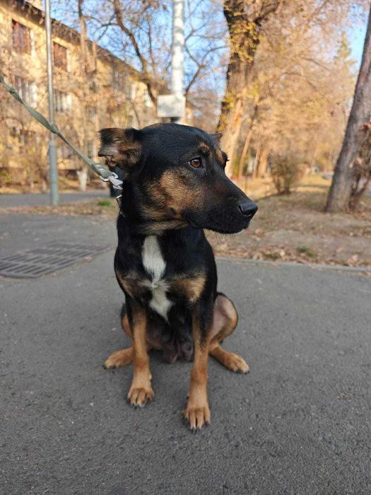 Пристраиваются две девочки