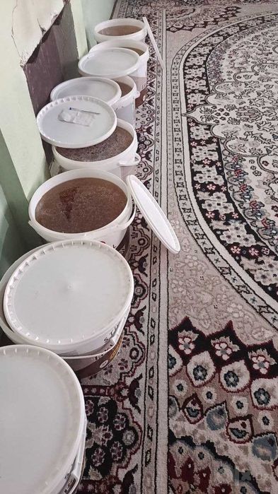 Tabiiy vodiy asali optom narxda, 20 kg chelak
