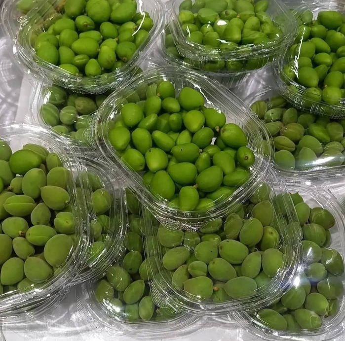 Dovcha bor kok sulton bor guloz bor qulupney bor