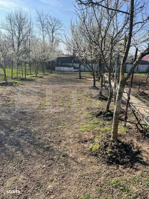 Teren de vanzare 1850 mp front de 21, Sanandrei!