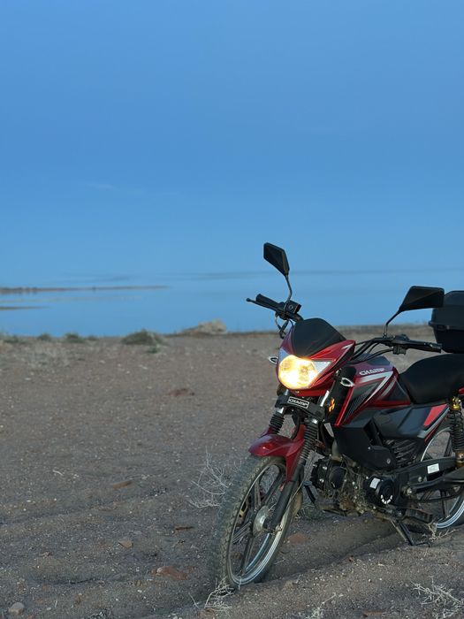 Альфа чамп 125 кубов