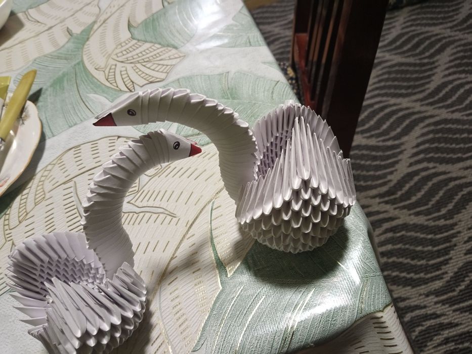 Qogʻoz oqqushlar sotiladi