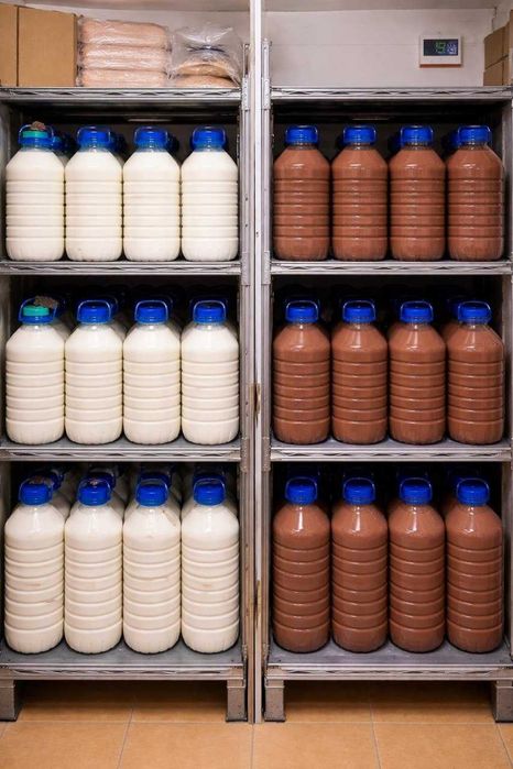 muzqaymoq smes qaymoqli