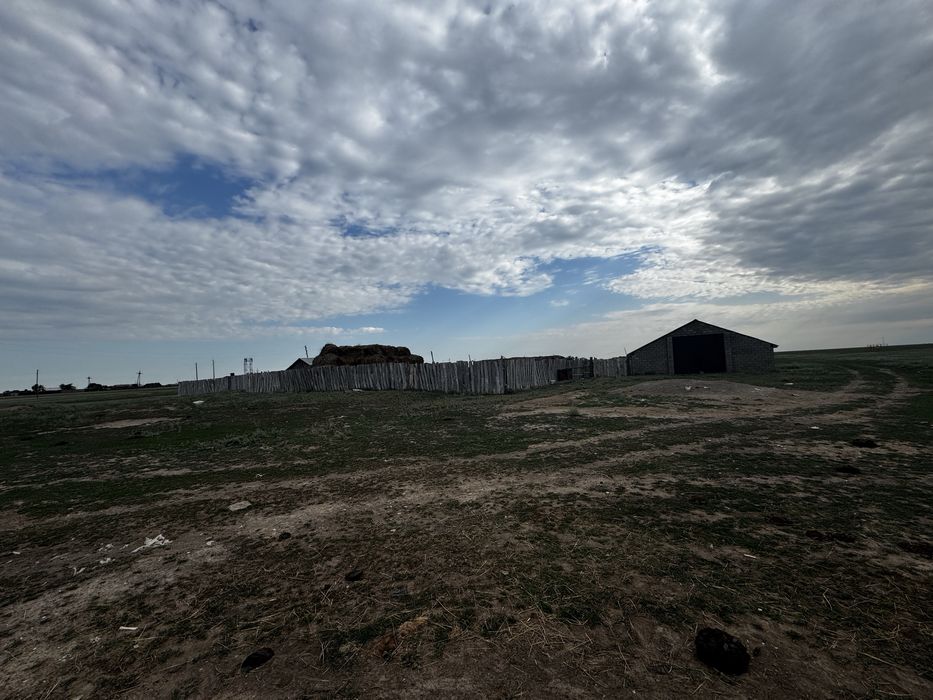 Продам КХ  дом и кашар для откорм