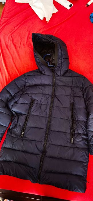 Jacheta matlasata zara