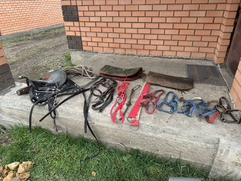 Продам ер токым в комплекте