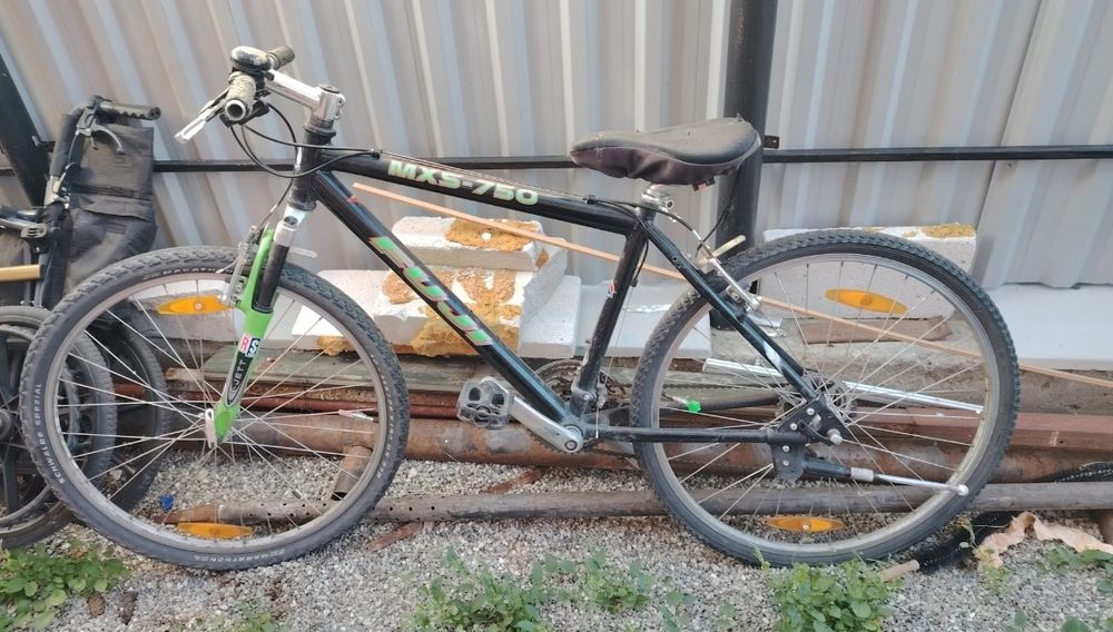 Bicicleta.  dama