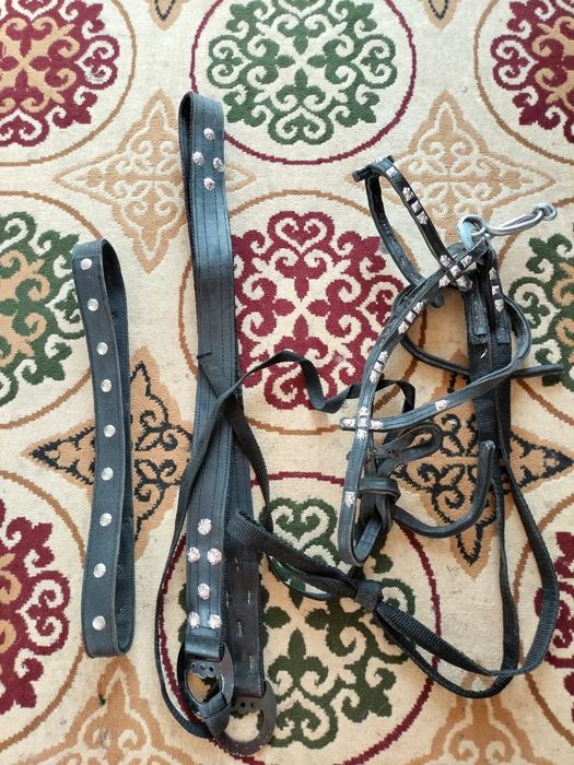 Кумыс егар  жабынымен