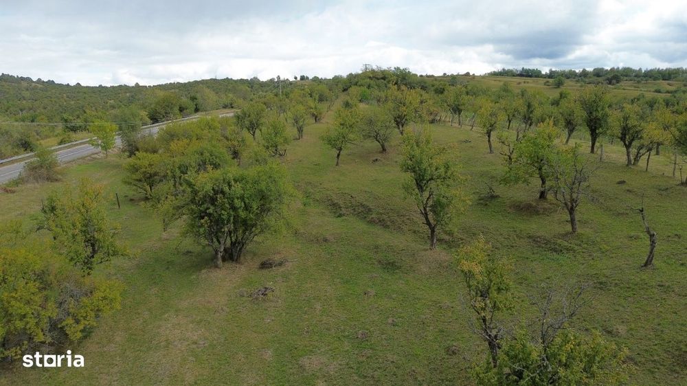 Teren 8.043 mp la DN73C Berevoesti – 3€/mp! Oportunitate rara