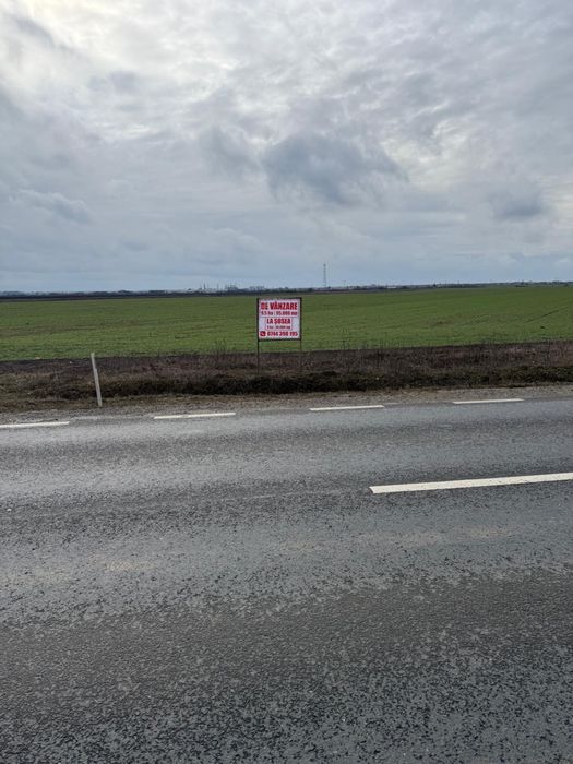 Teren Arad la șosea