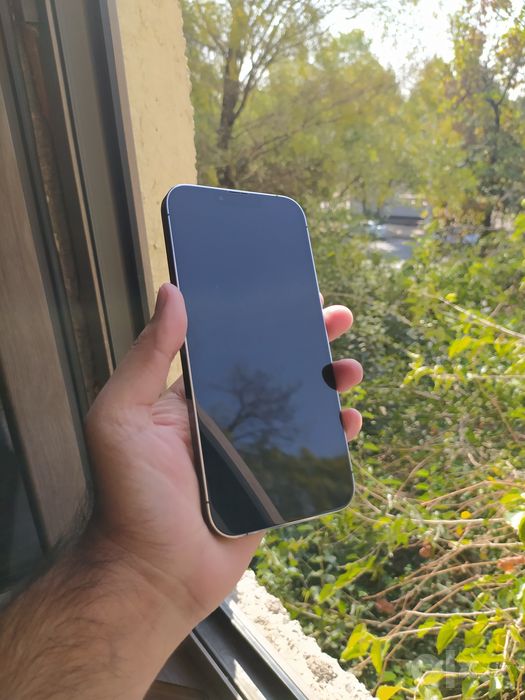 Iphone 13 pro max ideal