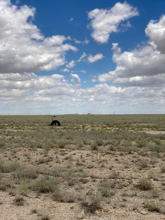 Жәйлім жер сатылады