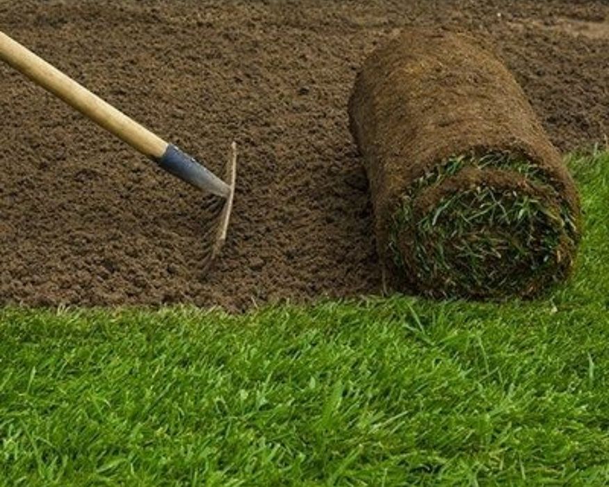 Газон из первих рук