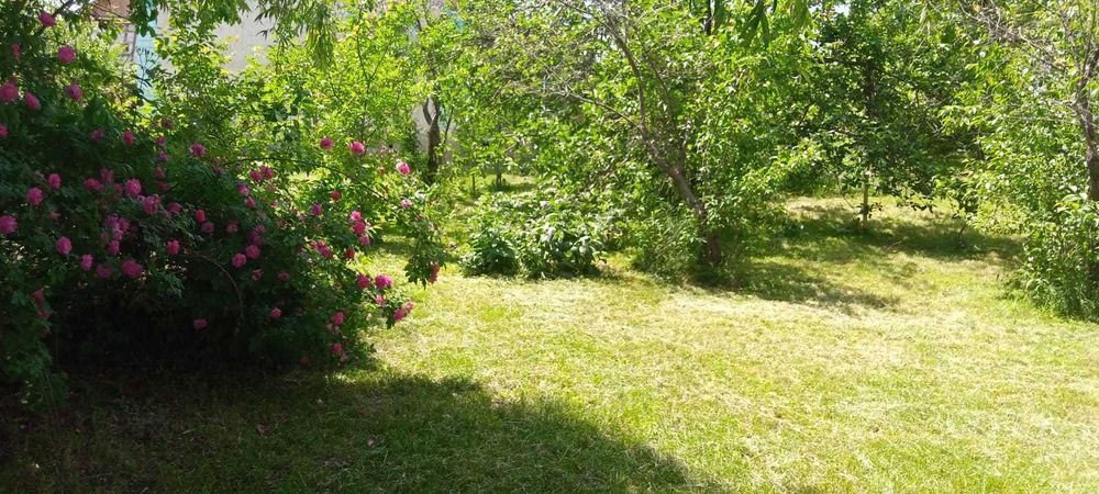 Продам дом  с участком 12 соток