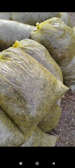 Дони жуда кўп Водий селоси сотилади