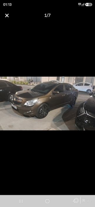 Cobalt zevus ragi 2023 dekabir