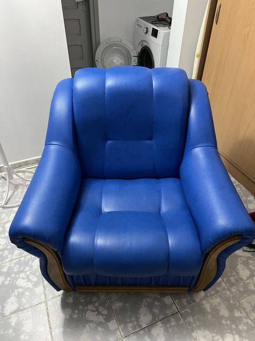 2 Fotolii Albastre